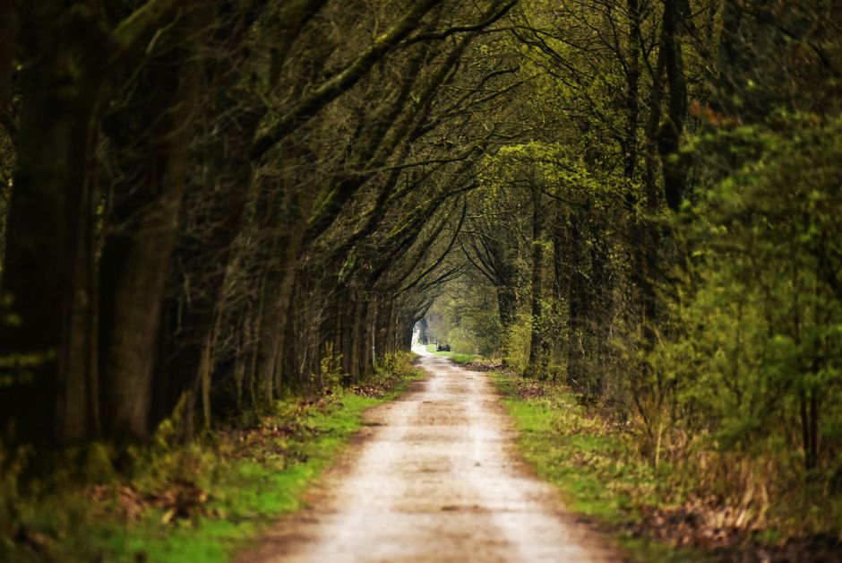 Holding On to Caring For Your Overall Health Over Time, on a Normal Week
